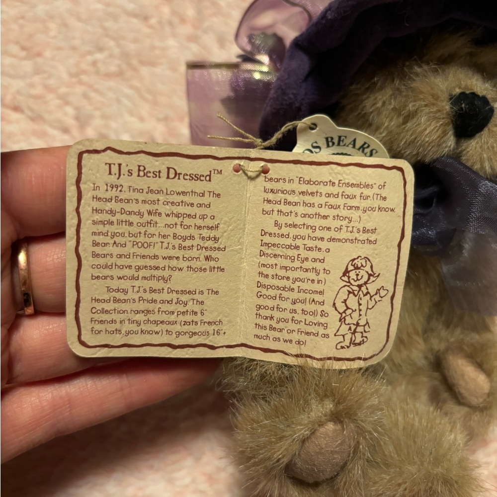 boyd’s bear - Picture 3 of 5